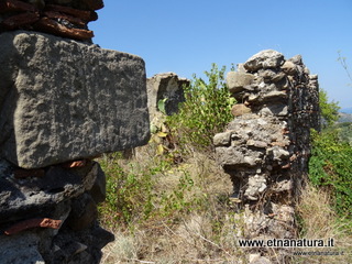 n Michele Forza Agro-13-08-2020 14
